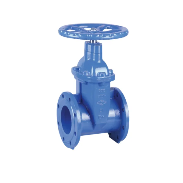 BS 5163 Valve Gerbang NRS Tangguh Flanged