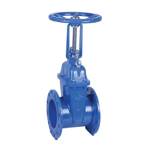 BS 5163 Valve OS & Y GATE Tangguh